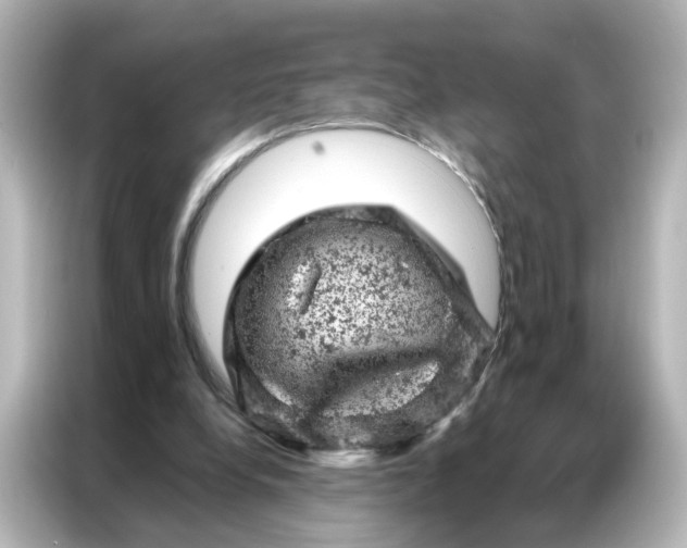 X0000087000248200704301403