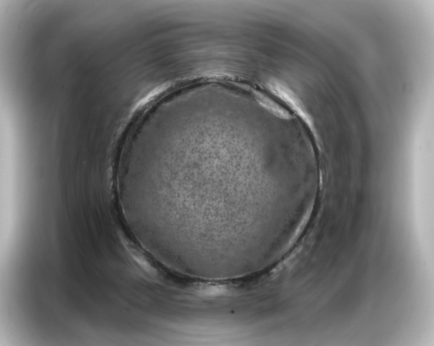 X0000087000249200704301403