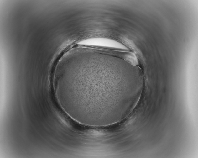 X0000087000250200704301403