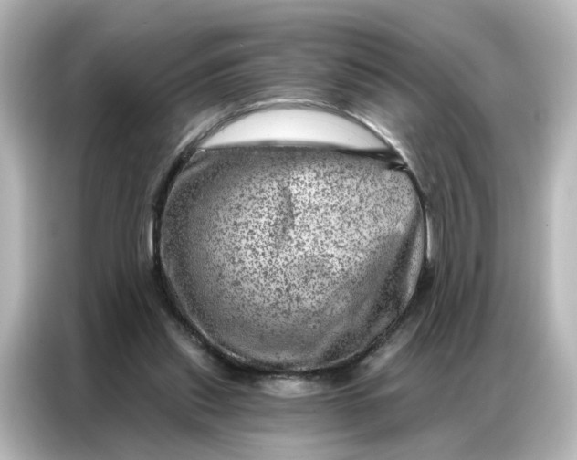 X0000087000253200704301403