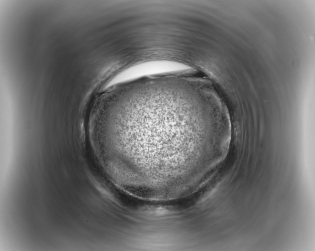 X0000087000254200704301403