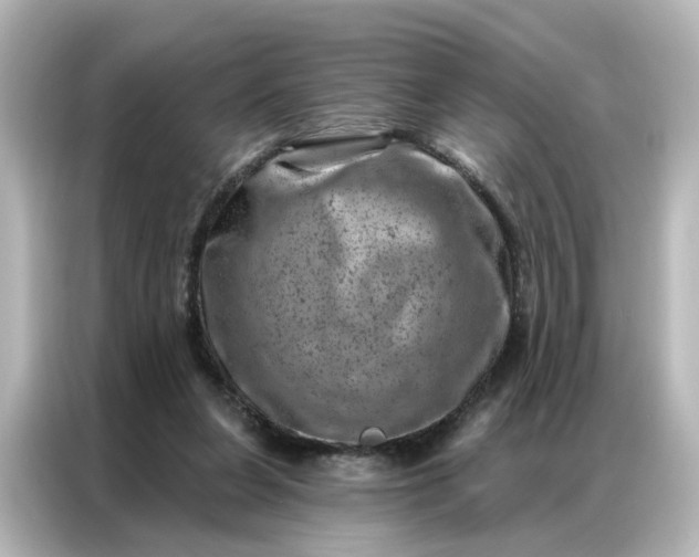 X0000087000255200704301403