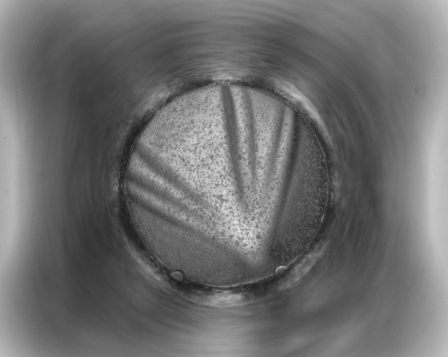X0000087000257200704301403