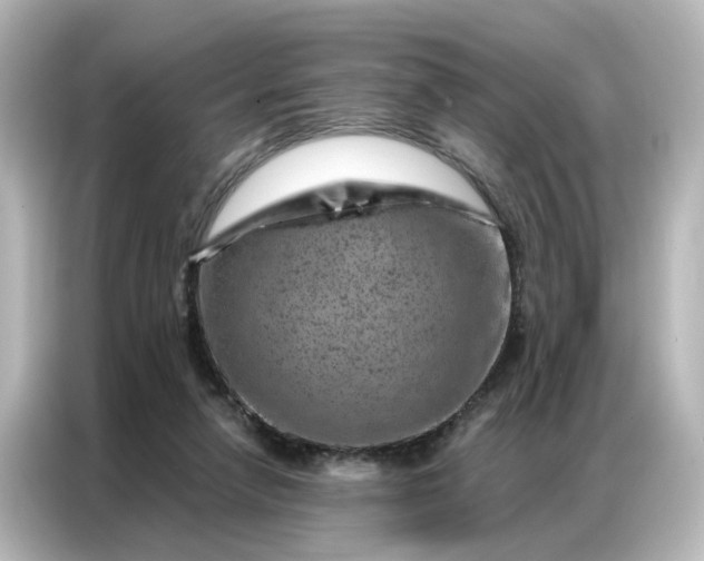 X0000087000258200704301403