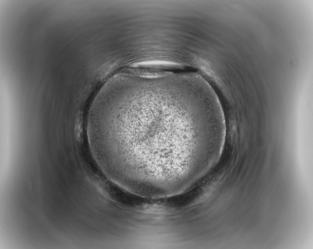 X0000087000259200704301403
