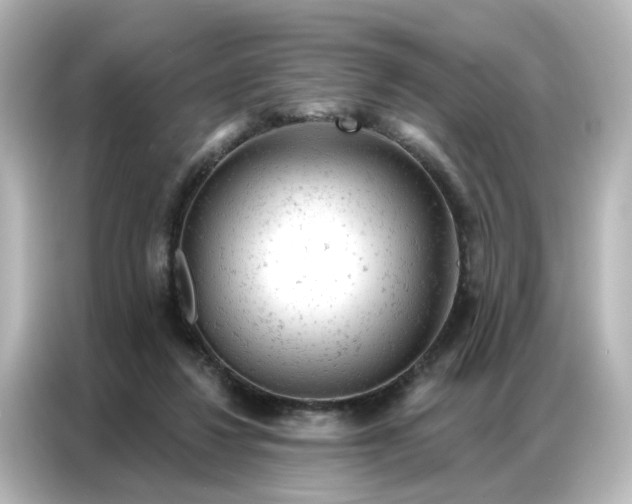 X0000087000260200704301403
