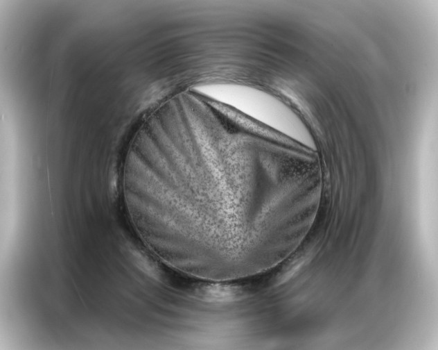 X0000087000261200704301403