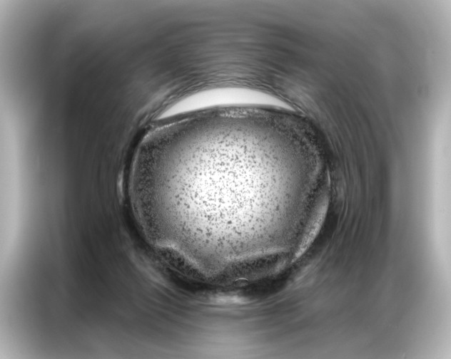 X0000087000262200704301403