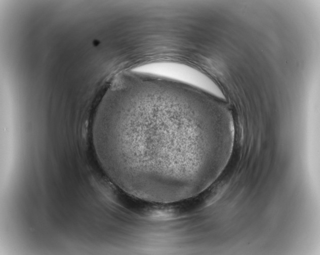 X0000087000263200704301403