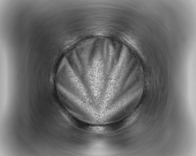 X0000087000265200704301403