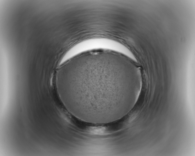 X0000087000266200704301403