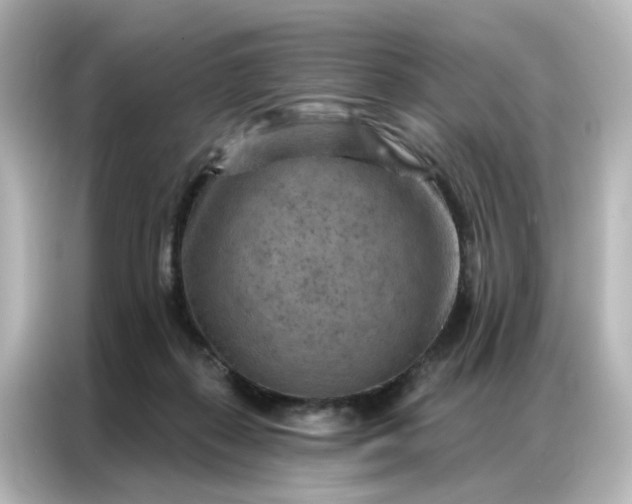 X0000087000267200704301403