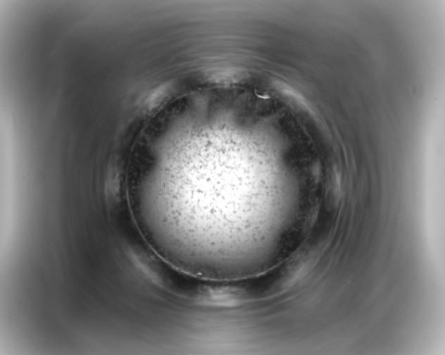 X0000087000268200704301403