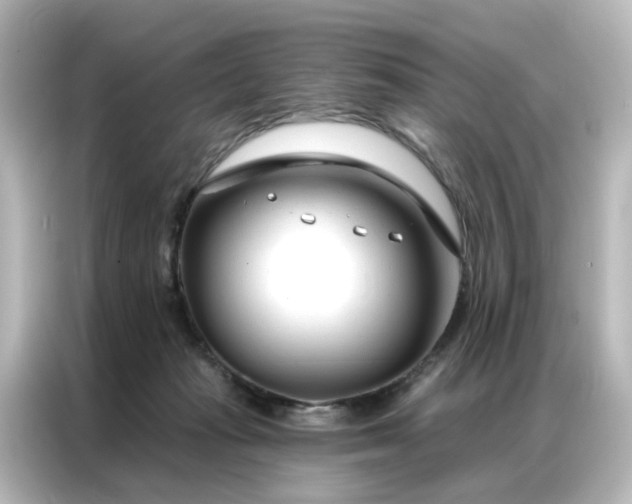 X0000087000269200704301404