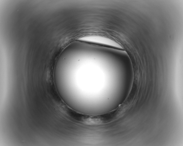 X0000087000270200704301404