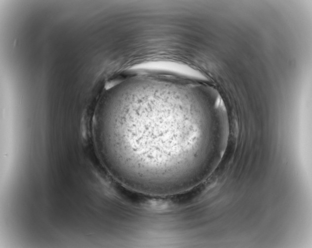 X0000087000272200704301404