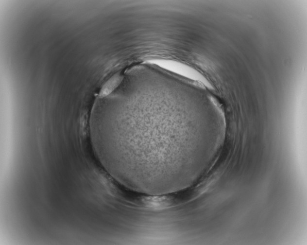 X0000087000273200704301404