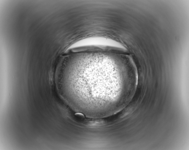 X0000087000274200704301404