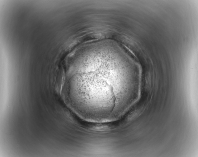 X0000087000278200704301404