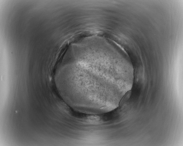 X0000087000279200704301404