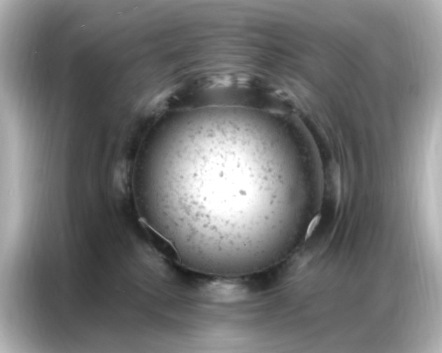 X0000087000280200704301404