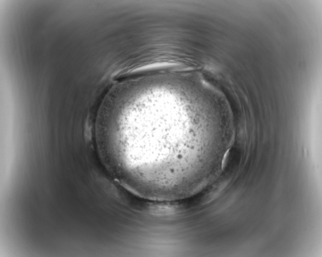 X0000087000282200704301404