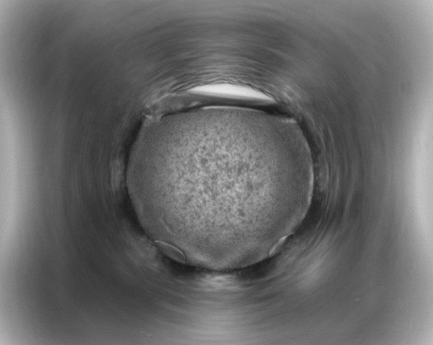 X0000087000283200704301404