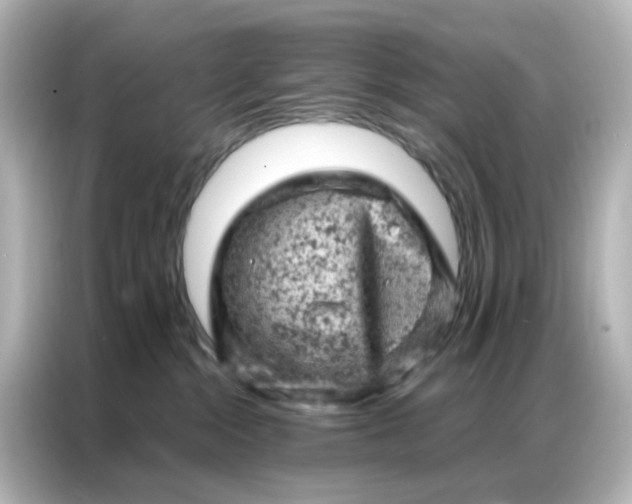 X0000087000284200704301404