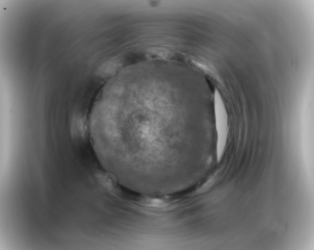 X0000087000285200704301404