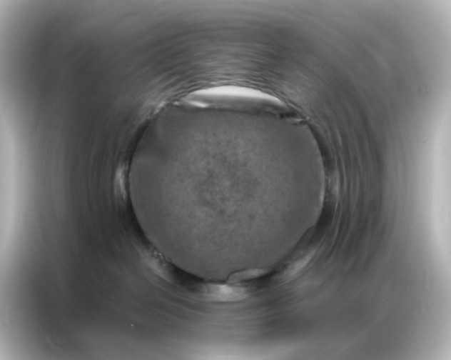 X0000087000286200704301404