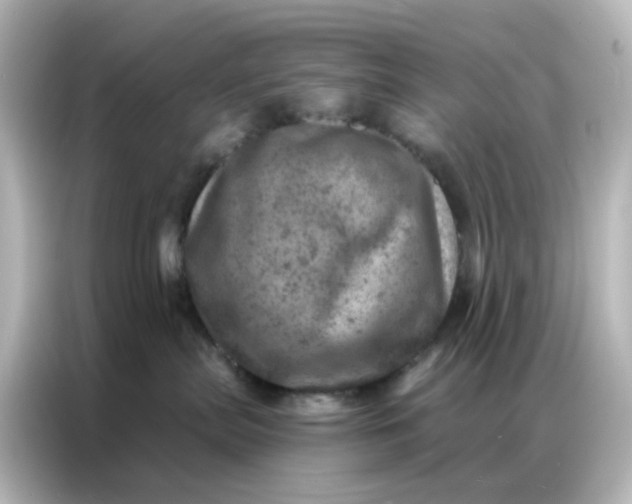X0000087000287200704301404