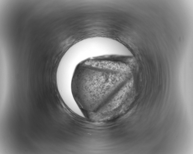 X0000087000288200704301404