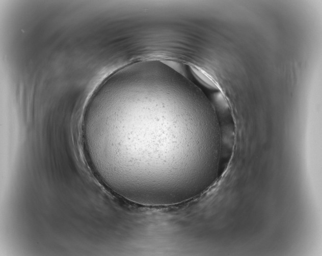 X0000087000289200704301403