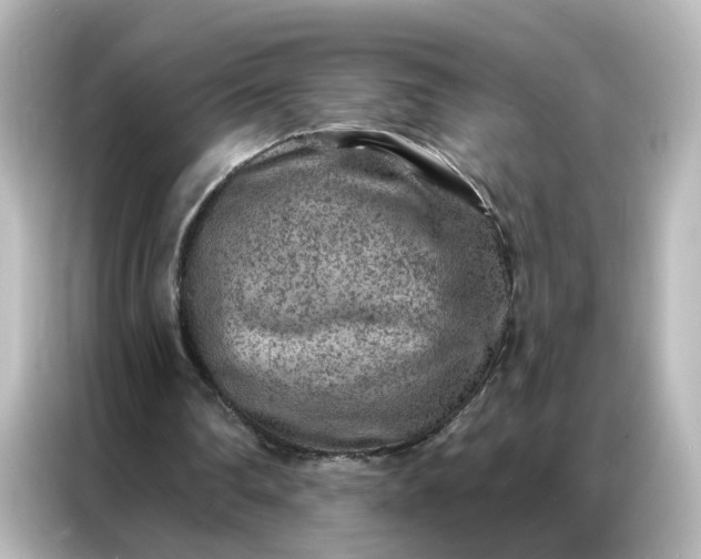 X0000087000290200704301403