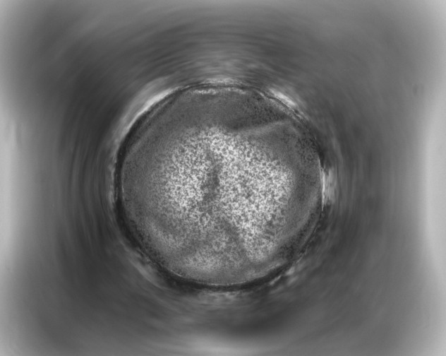 X0000087000291200704301403