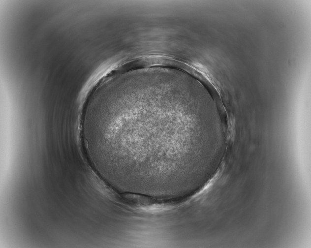 X0000087000293200704301403