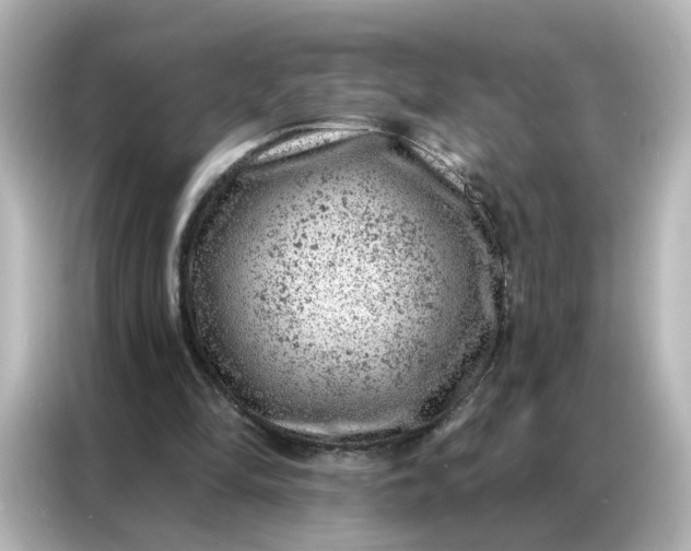 X0000087000294200704301403