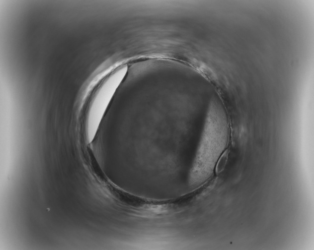 X0000087000295200704301403