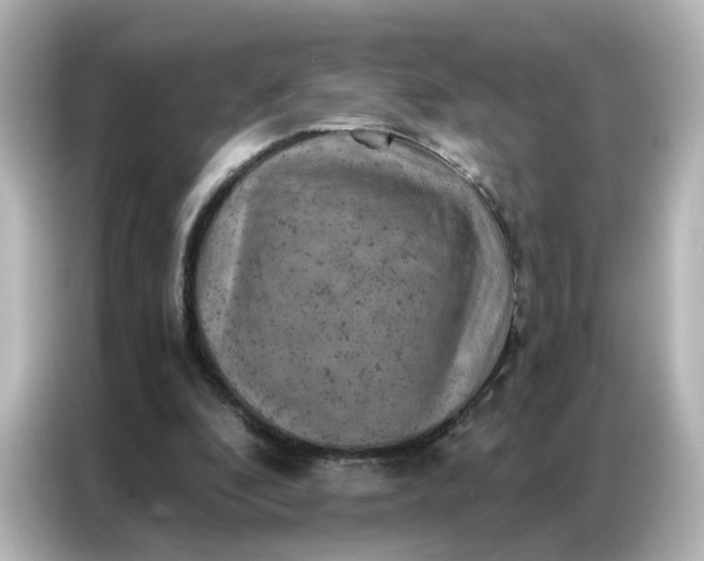 X0000087000296200704301403