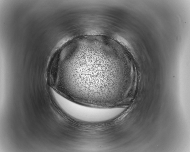X0000087000298200704301403