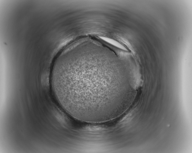 X0000087000299200704301403