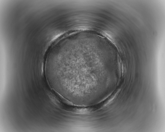X0000087000301200704301403