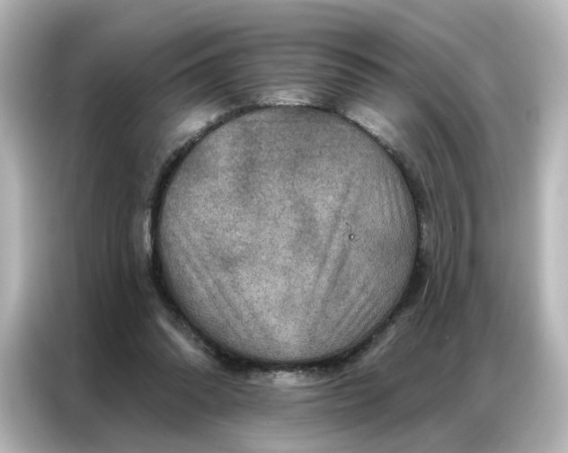X0000087000302200704301403