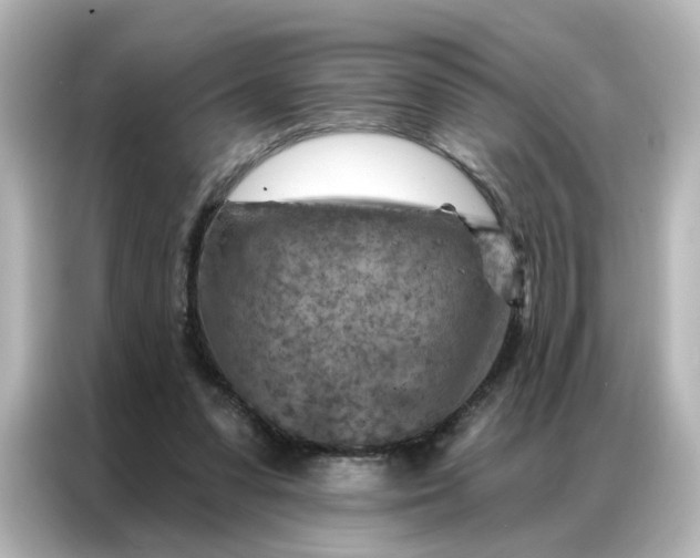 X0000087000303200704301403