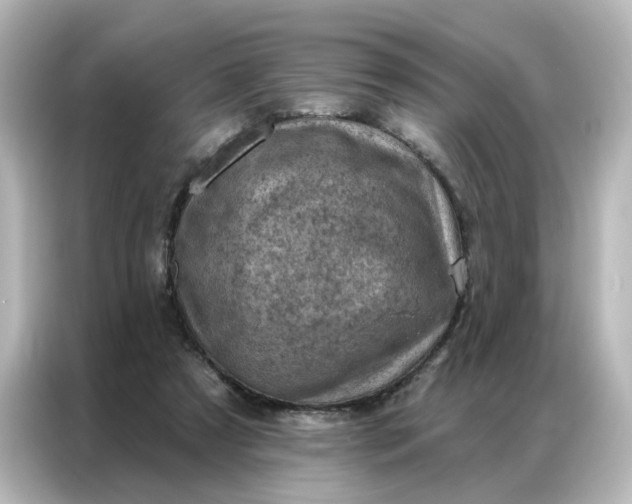 X0000087000305200704301403
