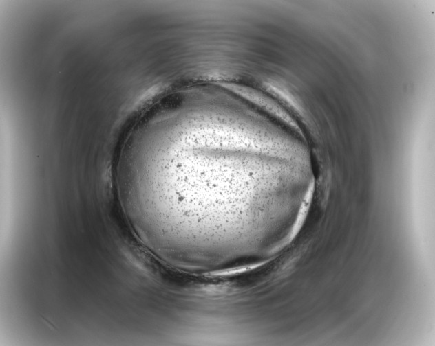 X0000087000306200704301403