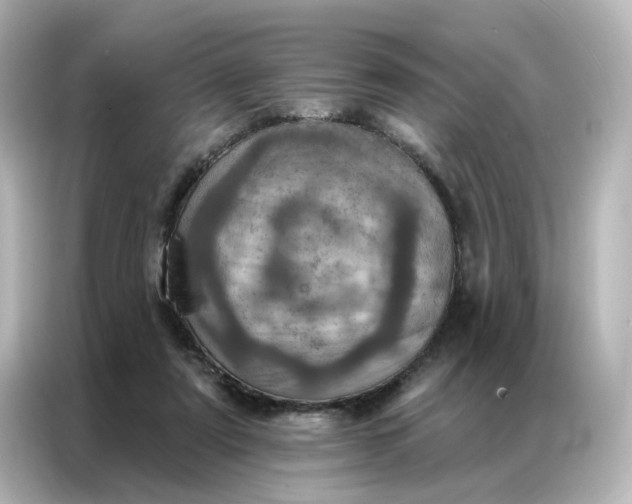 X0000087000307200704301403