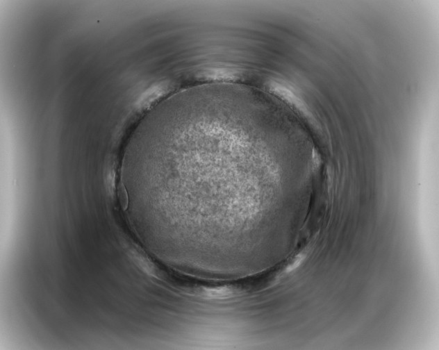 X0000087000309200704301403
