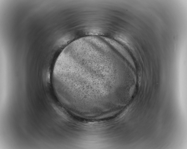 X0000087000310200704301403