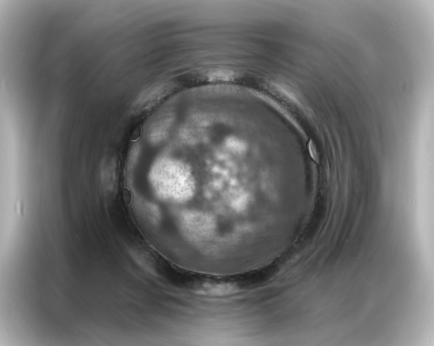 X0000087000311200704301403